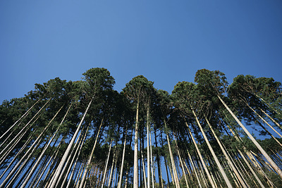 世界が揺れる今、私たちが忘れていた「住む」の本当の意味。