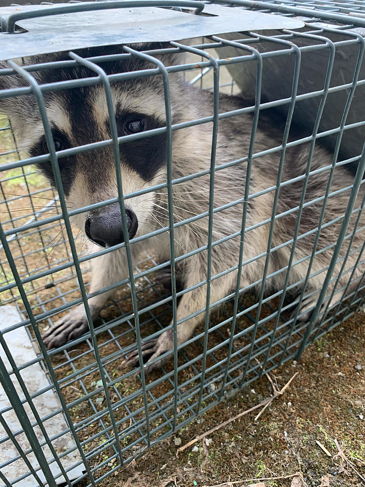 八高崇 やこうたかし