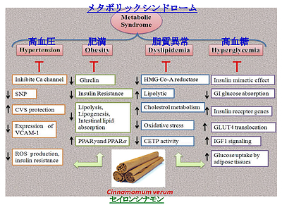 空腹時の血糖値が100～125mg/dLの人は早めにセイロンシナモンの補給を！