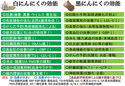 通常の「白にんにく」と醗酵させた「黒にんにく」では、どんな健康効果上の違いがあるの？