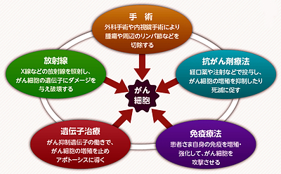 がんの予防や治療補助として注目度の高い「クルクミン」の有効性