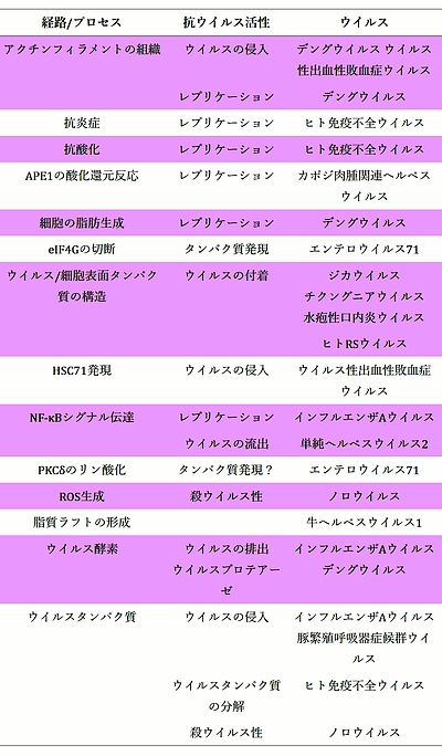 抗ウイルス剤としてのクルクミン