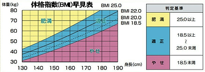 シナモンとブラッククミンシードで無理せず効果的なダイエットが可能！