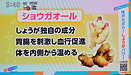 ショウガオールを多く含む生姜と緑茶は健康の維持・増進に効果的!