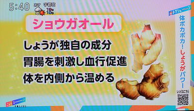ショウガオールを多く含む生姜と緑茶は健康の維持・増進に効果的！