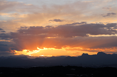 食品医学研究所はマイベストプロ群馬のメンバーを令和8年4月30日をもって卒業します！