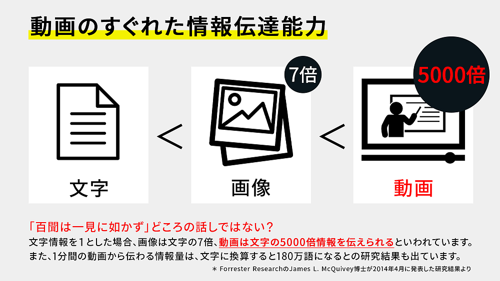 島崎貴幸 しまざきたかゆき