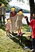 地域と社員の健康をつなぐ!夏の赤城山で体験する「スラックライン」の魅力とは?