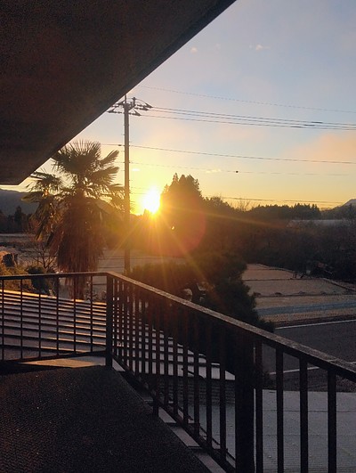 今年も挑戦を続けます！