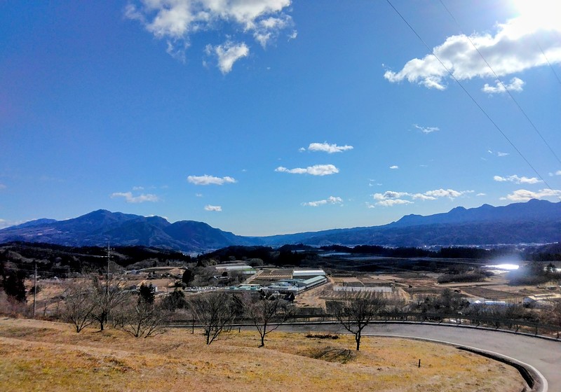 穏やかな元旦でした♪