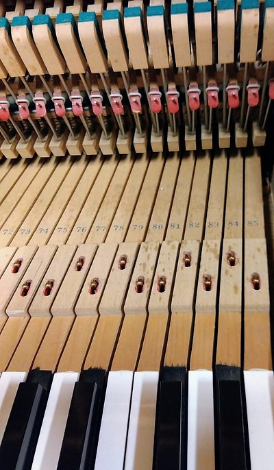 挑戦する姿が素晴らしい！