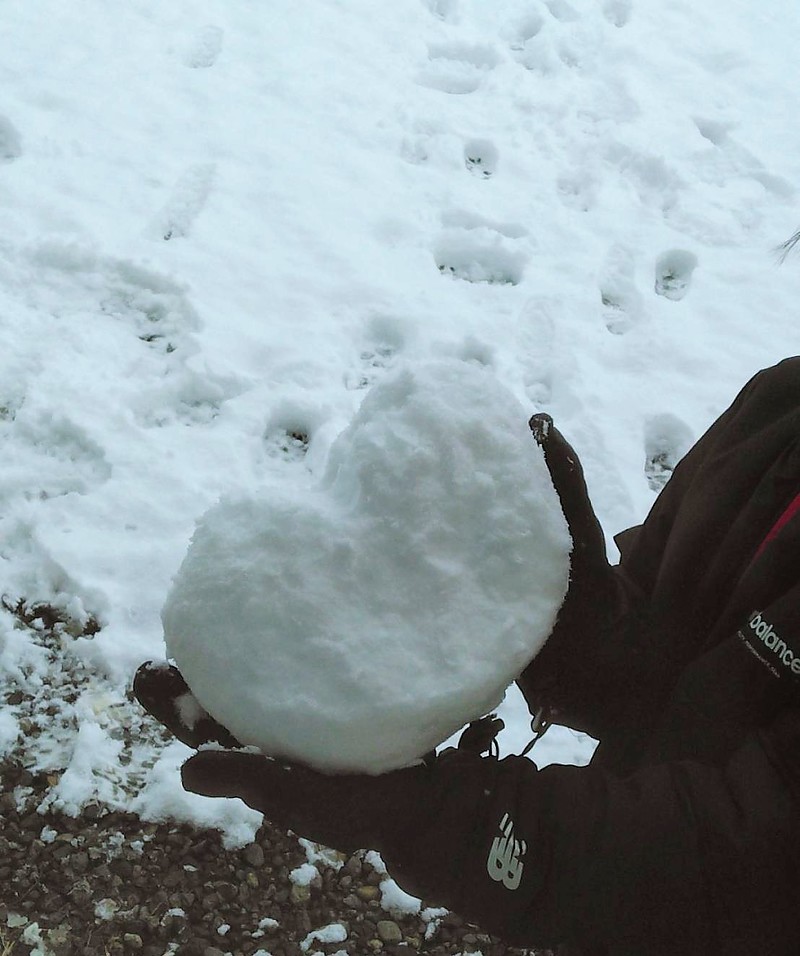 今朝はこの地域では珍しく雪になりました。