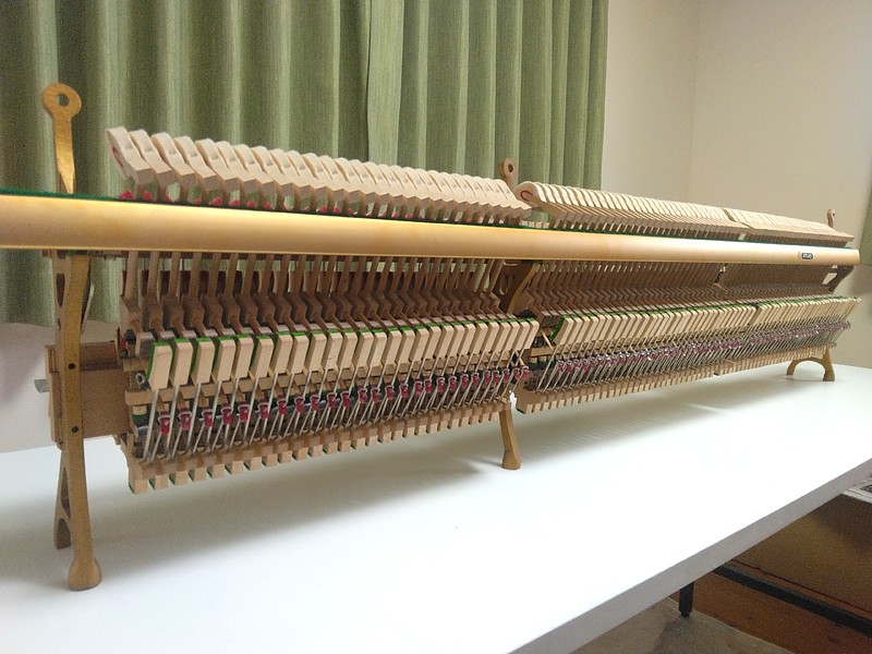 アクション アクション