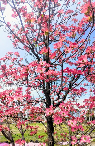 たまには頭の中を空っぽにする