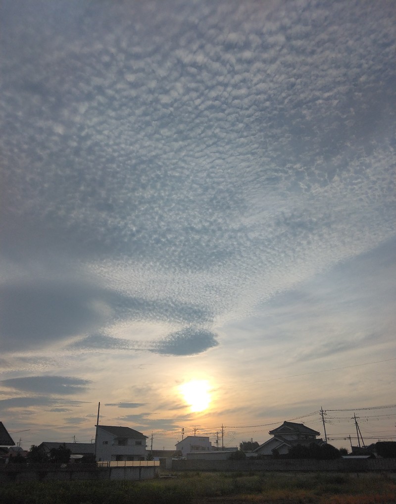 今朝、歩きながら見上げた太陽と雲 今朝、歩きながら見上げた太陽と雲