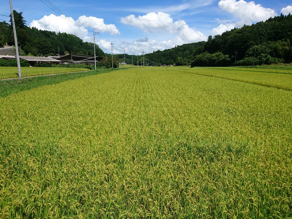 保科亨 ほしなとおる