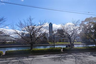 まち木造の可能性