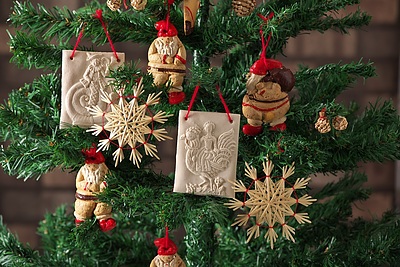 「税務調査はどう変わる？」　ニュース12月号