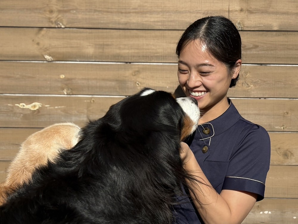 野村真弓 のむらまゆみ