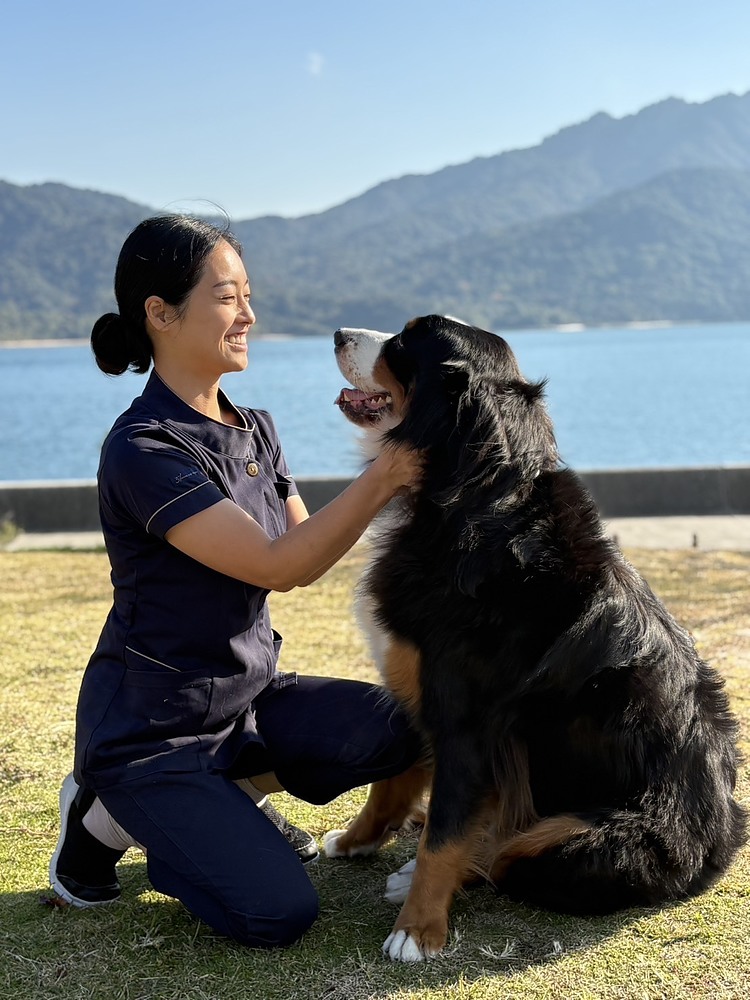 野村真弓 のむらまゆみ
