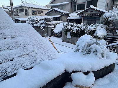 2026年1月3日　初積雪