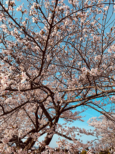 大変になる前に吐き出そう