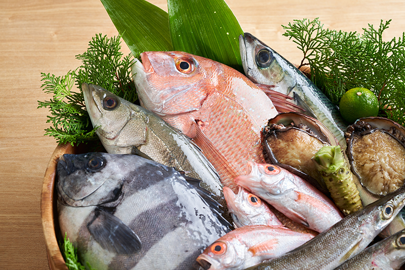 脇田忠司 わきだただし