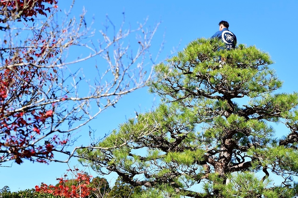 湯月大生 ゆづきひろき