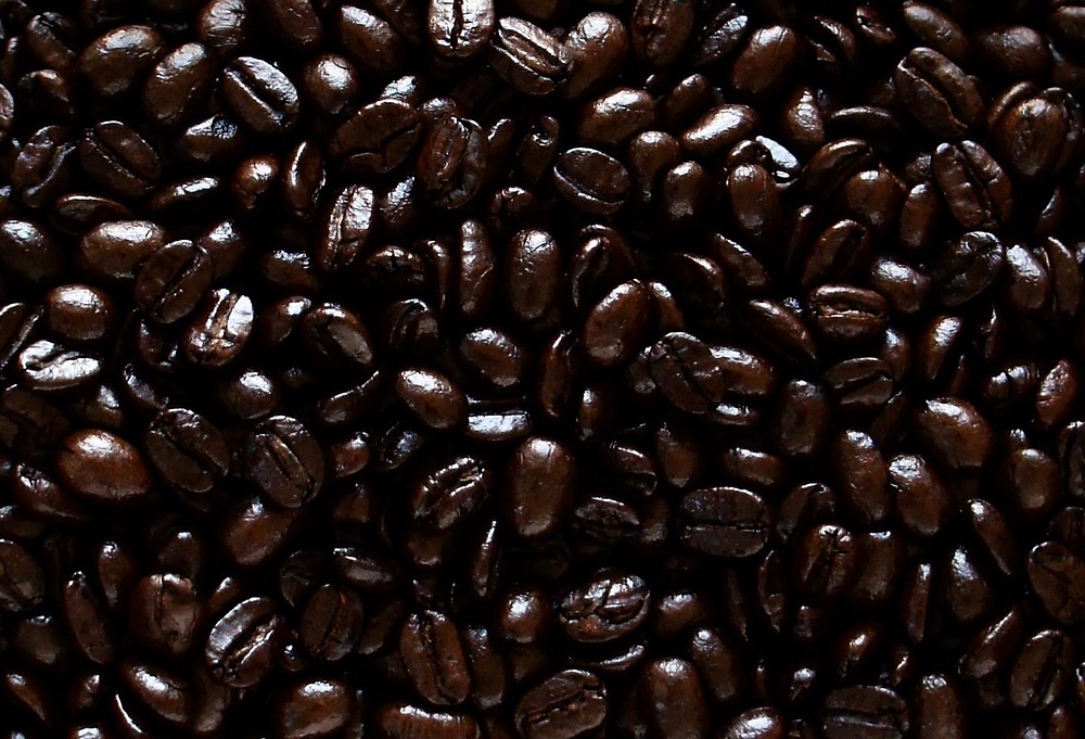 西本佐和 にしもとさわ