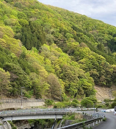 ストレス解消 ストレス解消