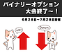 大阪FX教室名物、バイナリー大会終了！！