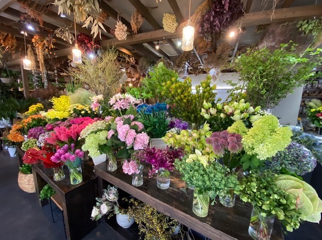 明道知嗣 みょうどうともつぐ