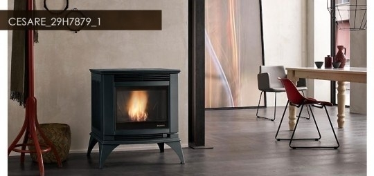 次の世代を、暖める。 Ecofire Cesare 10kW/ペレットストーブ[SUNWEST