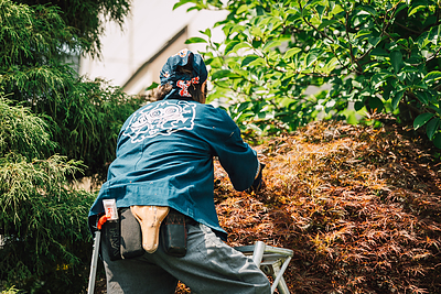 私が枝を一本切るために含まれている21の理由。