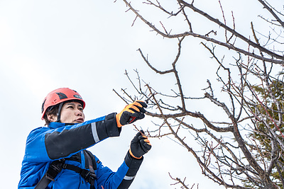 『昔の常識、今の非常識』。