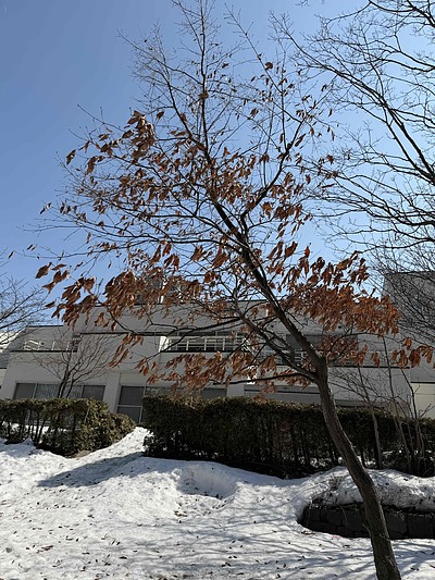 『意外と知られていないこと』