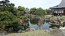 『透かし剪定』こそが、木に光と風をもたらす核心技術。
