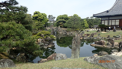 『透かし剪定』こそが、木に光と風をもたらす核心技術。