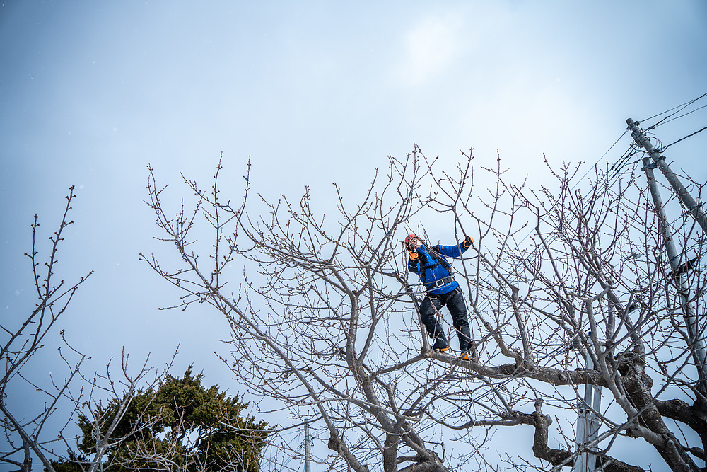 坂本俊隆 さかもととしたか