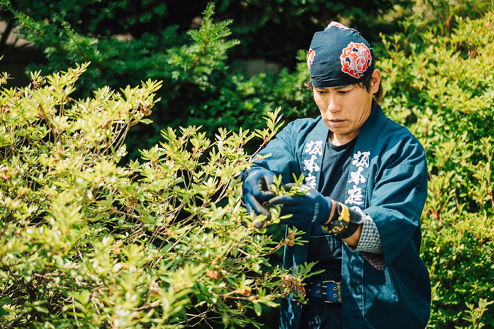 坂本俊隆 さかもととしたか