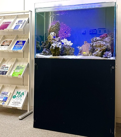 会計事務所における水槽設置例