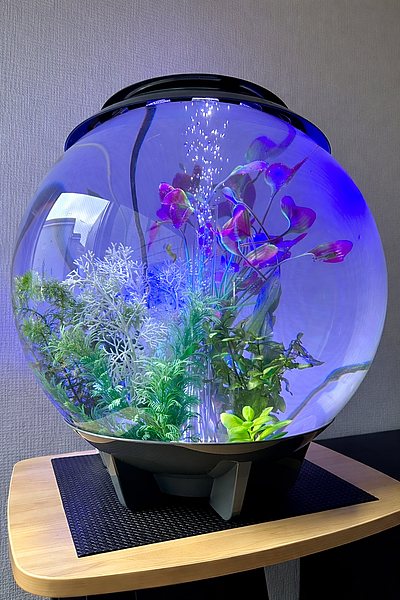 断られた空間の余地