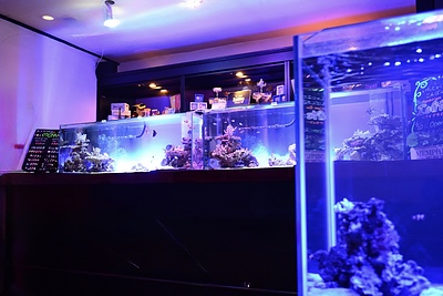 夜の対話を支える水景