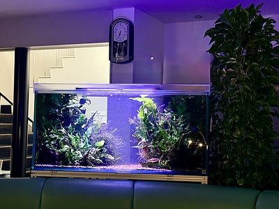 整形外科待合室 ― 早朝メンテナンス後の水景