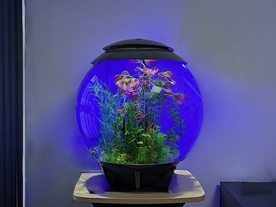 支える人のための静かな水槽