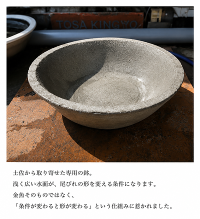先に生き返る方向