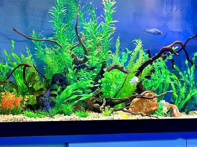 小児科待合室の水景