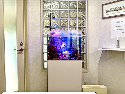最後まだ辿り着けた水槽