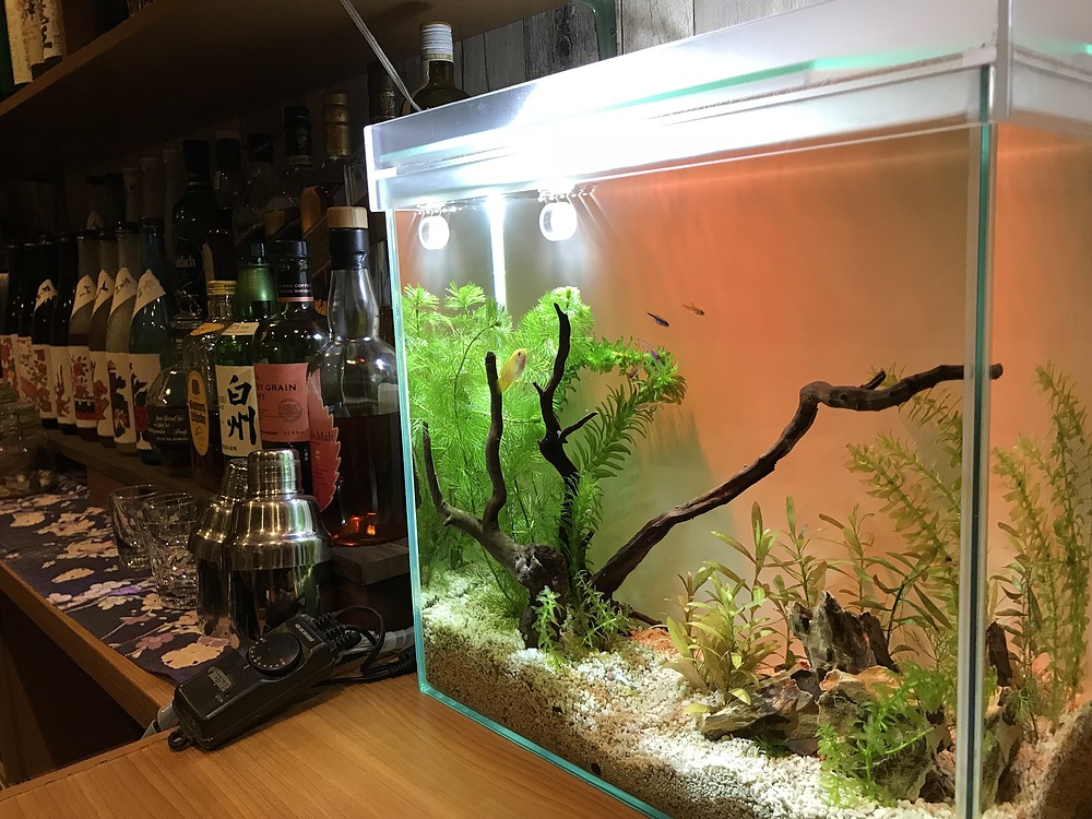 佐々木毅 ささきつよし