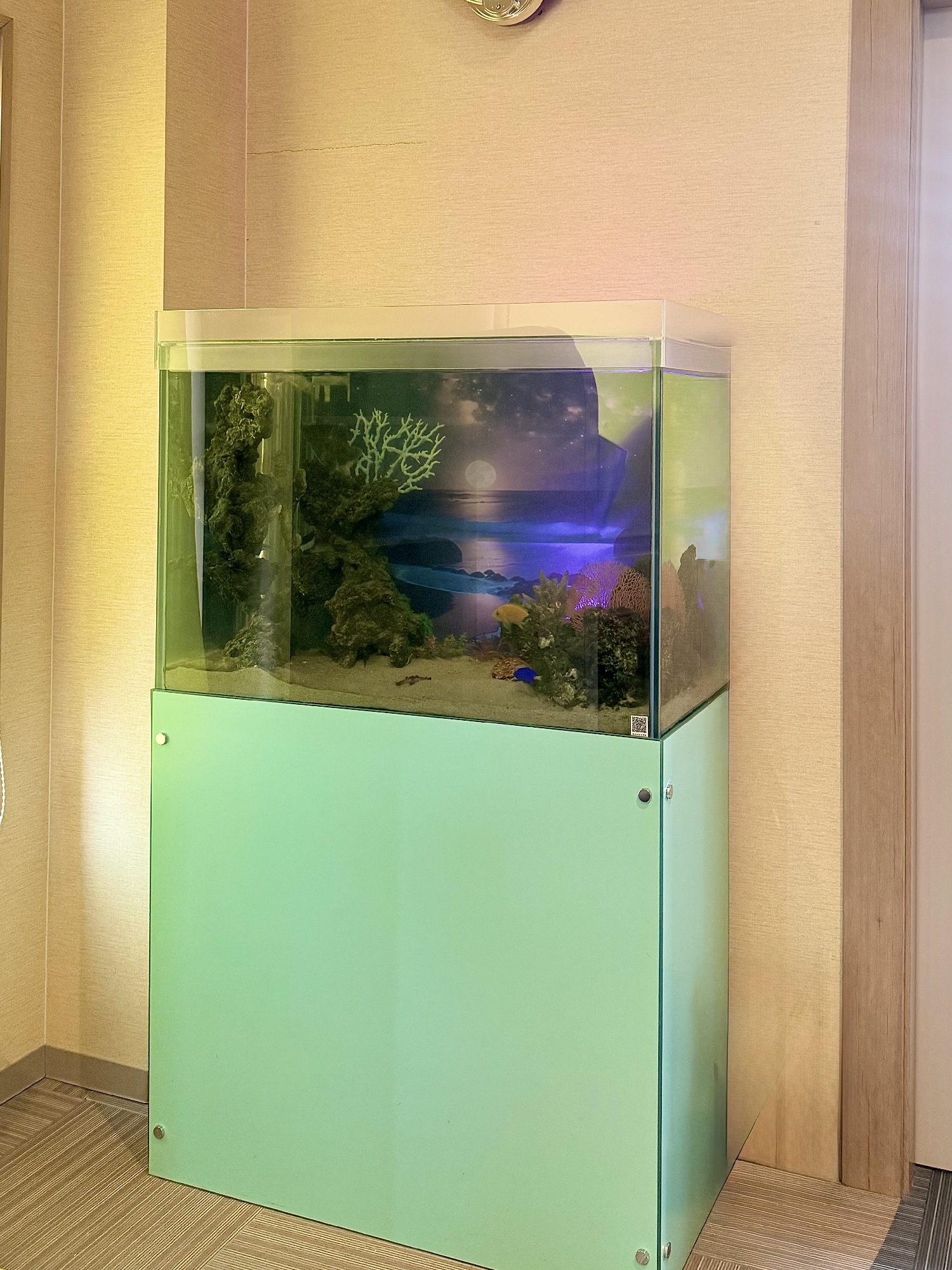 自然光前提の水槽設計